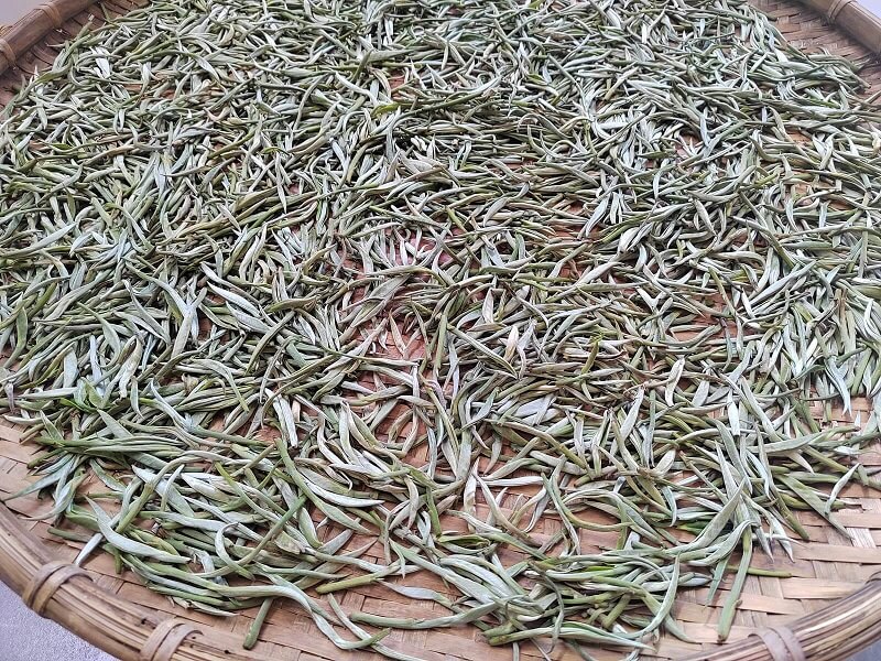竹篾上晾青的茶叶
